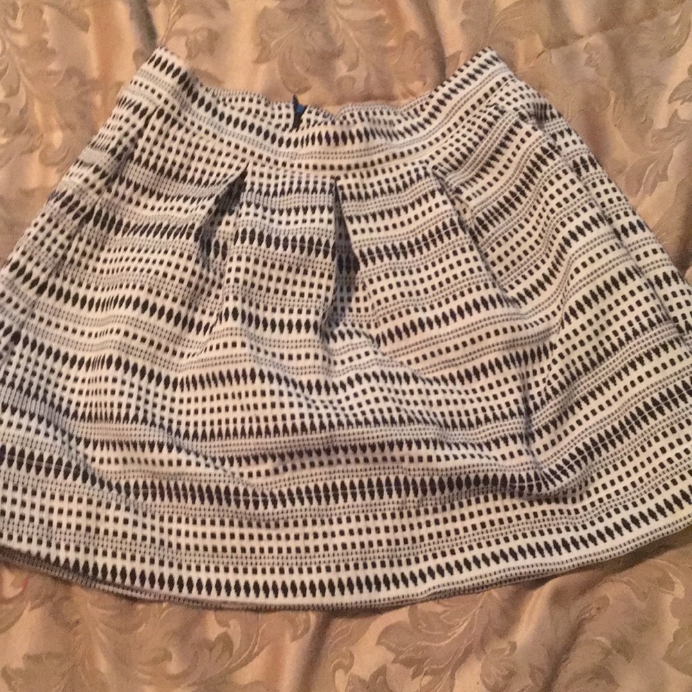 Pleated Skirt